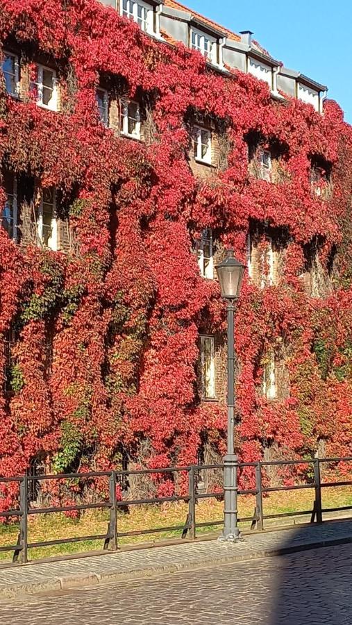 Garncarska6 Apartman Gdańsk Kültér fotó